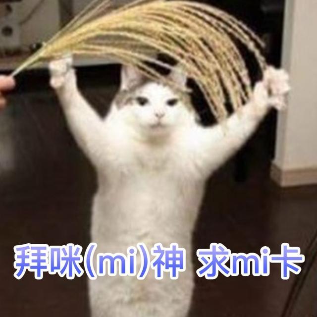 抖音发布美好音符年活动,抖音最新活动新年集卡活动