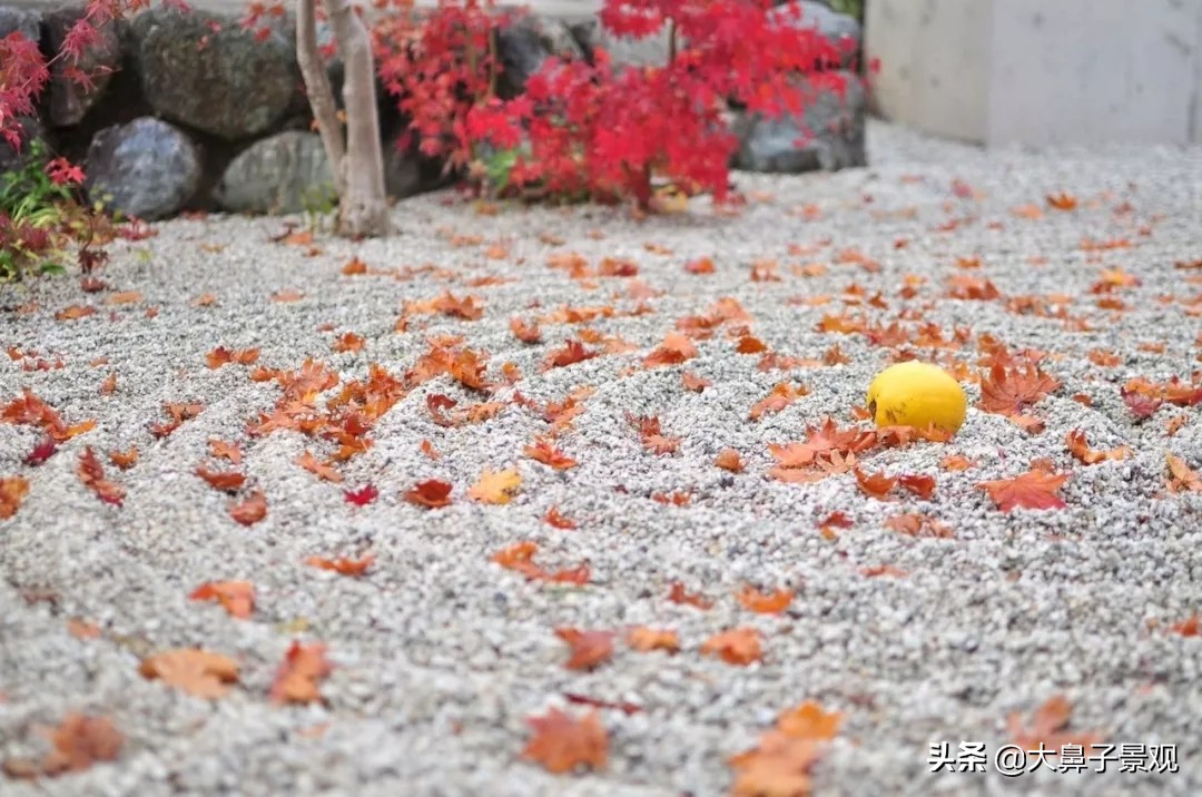 日式佛教枯山水庭院,日式50平米枯山水小庭院设计