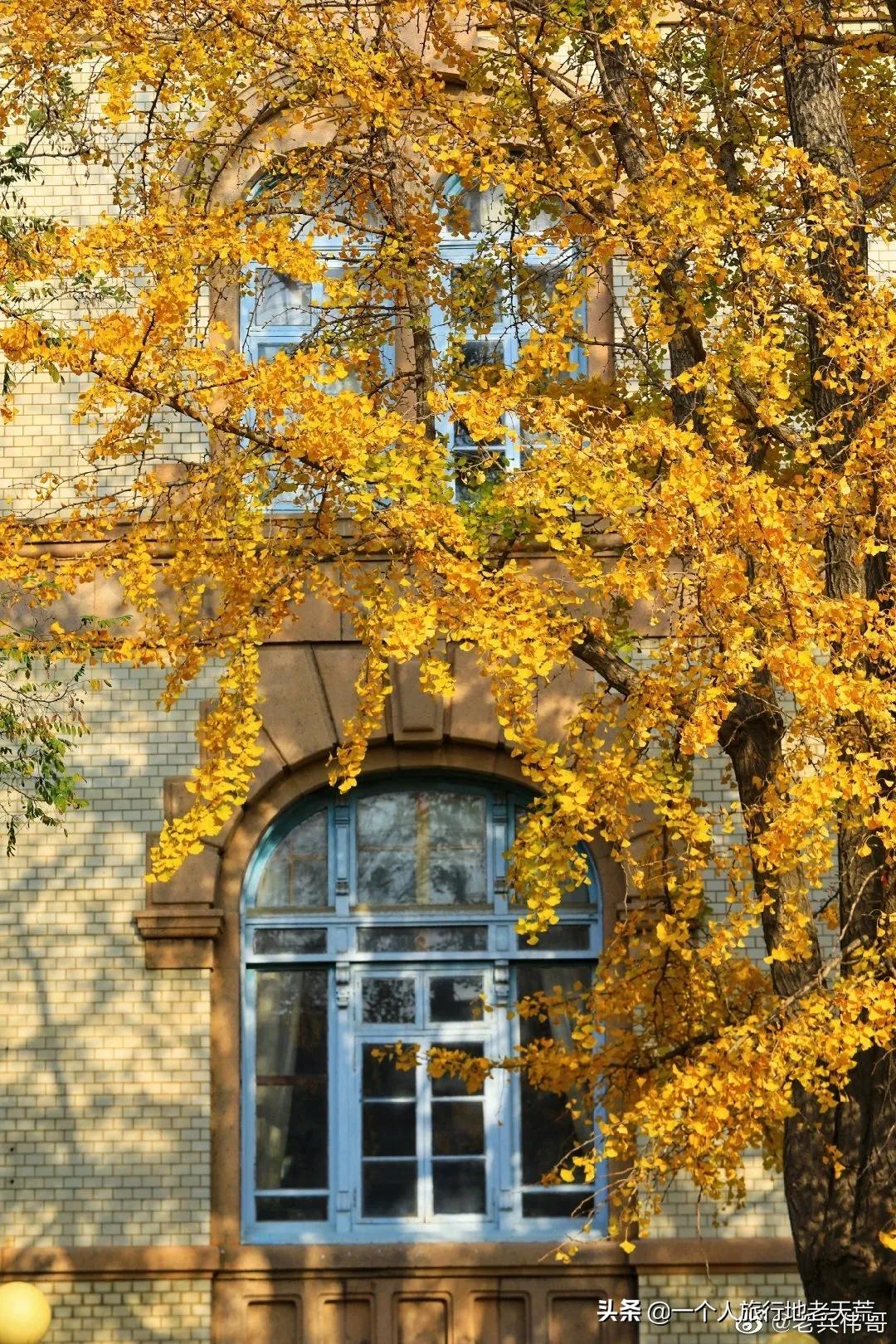 大连最浪漫的十个地方,大连浪漫景色