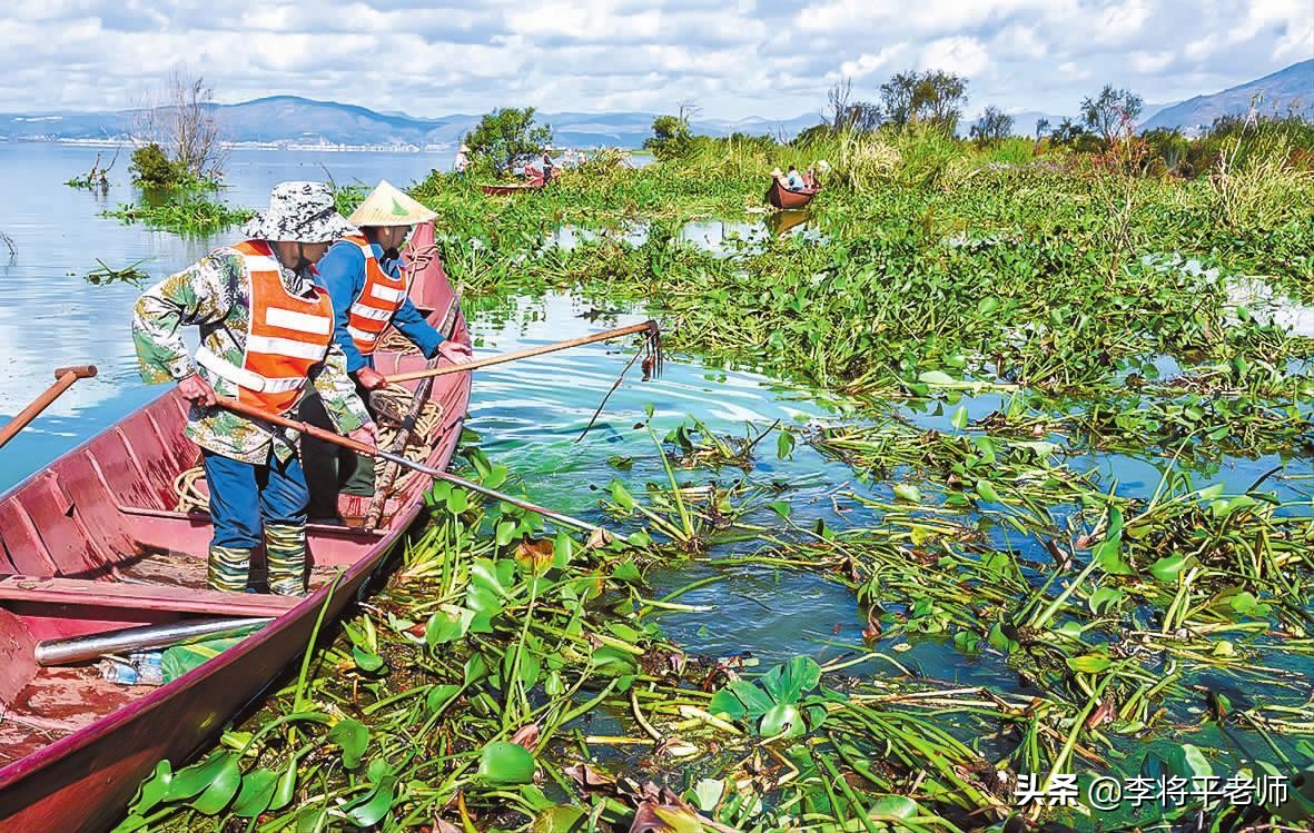 海关如何知道你带了活物入境?细数中国入侵生物中的英雄和耻辱们