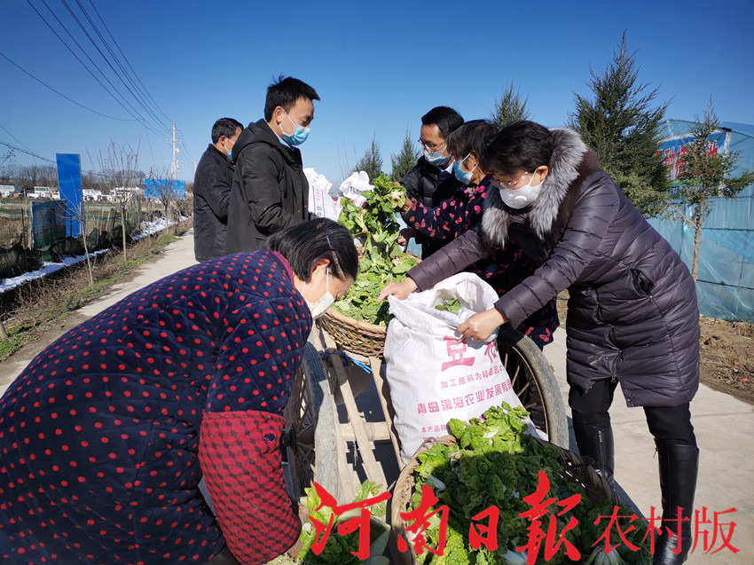 光山南向店政府,光山南向店乡政府