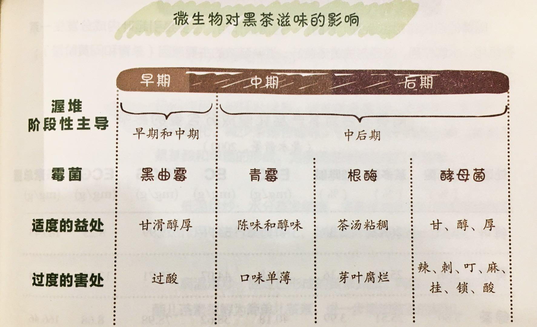 霉菌有害吗,生物菌剂对茶叶有害吗