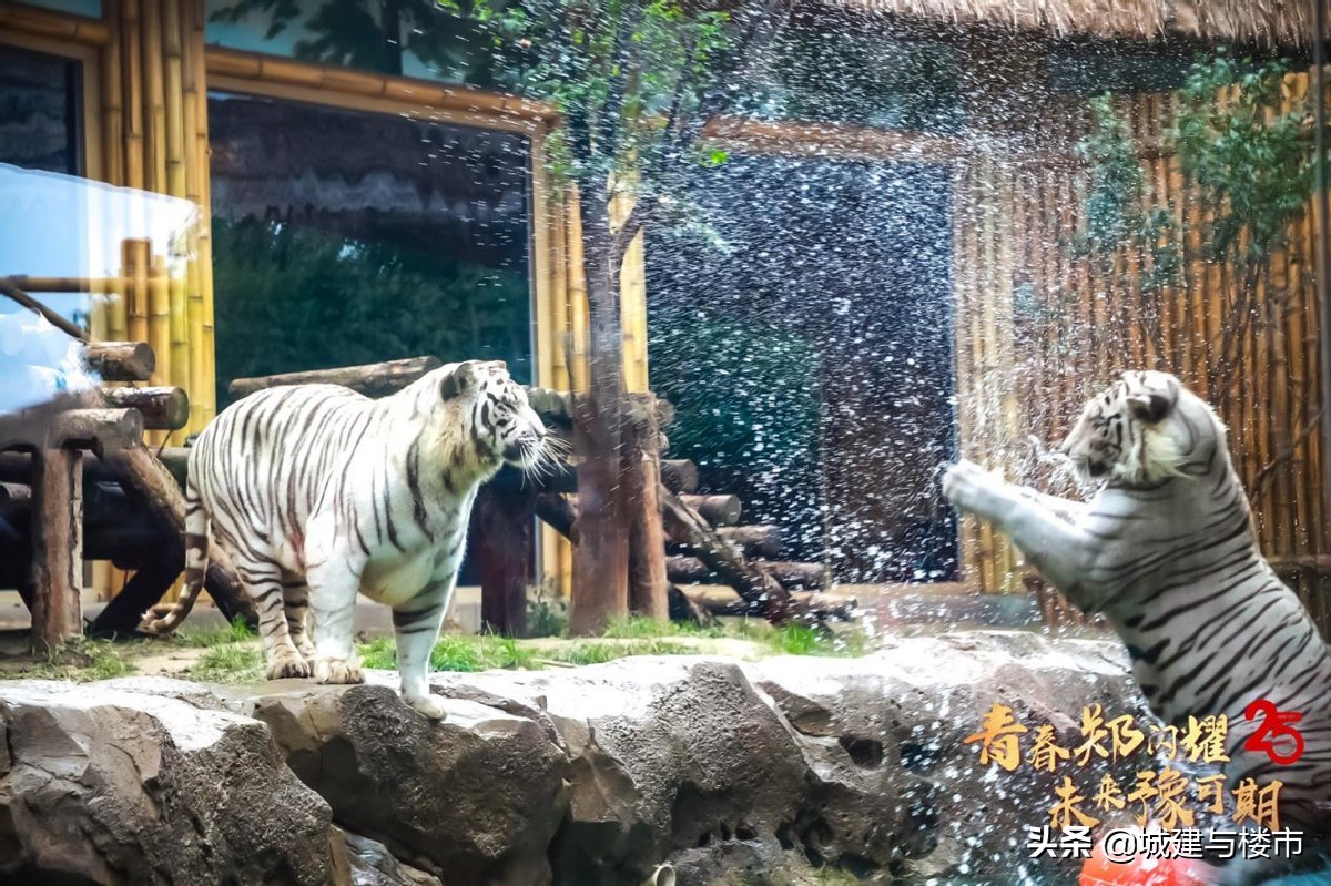 银基今日客流量,银基客流量