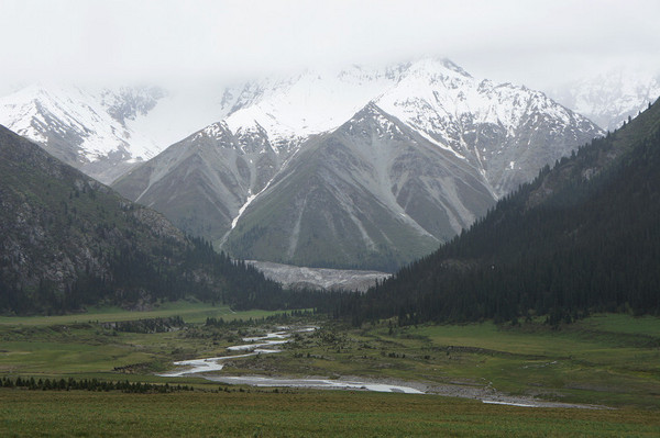 六月底的伊犁雪山,5月的伊犁草原