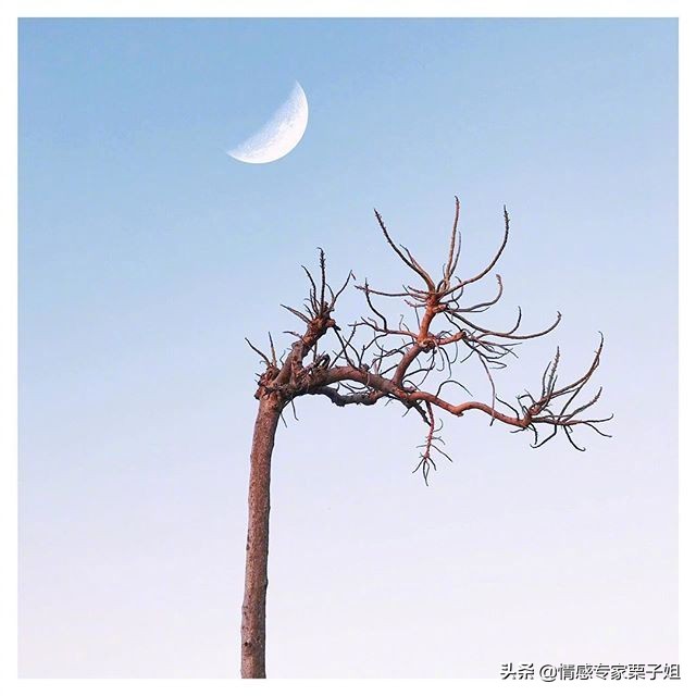 情感咨询|栗子姐每日情感问答（0520）