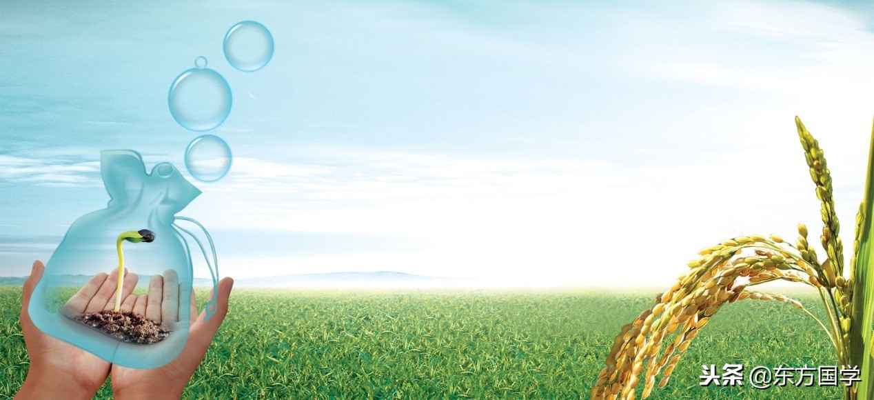 农村谚语“秋水老子冬水娘，浇好春水多打粮”，如何看待这句话？