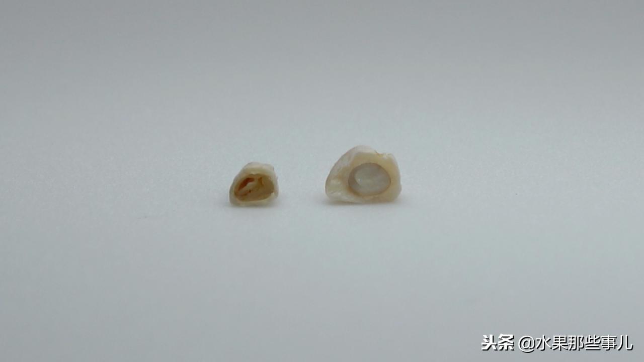 软籽石榴和突尼斯软籽石榴的区别,突尼斯石榴跟软籽石榴有啥子区别