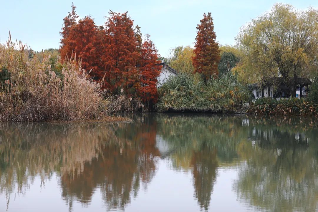 闃虫緞婀栨矙瀹舵禍鐖婇浮,涓轰簡澶ч椄锜规潵鍒伴槼婢勬箹