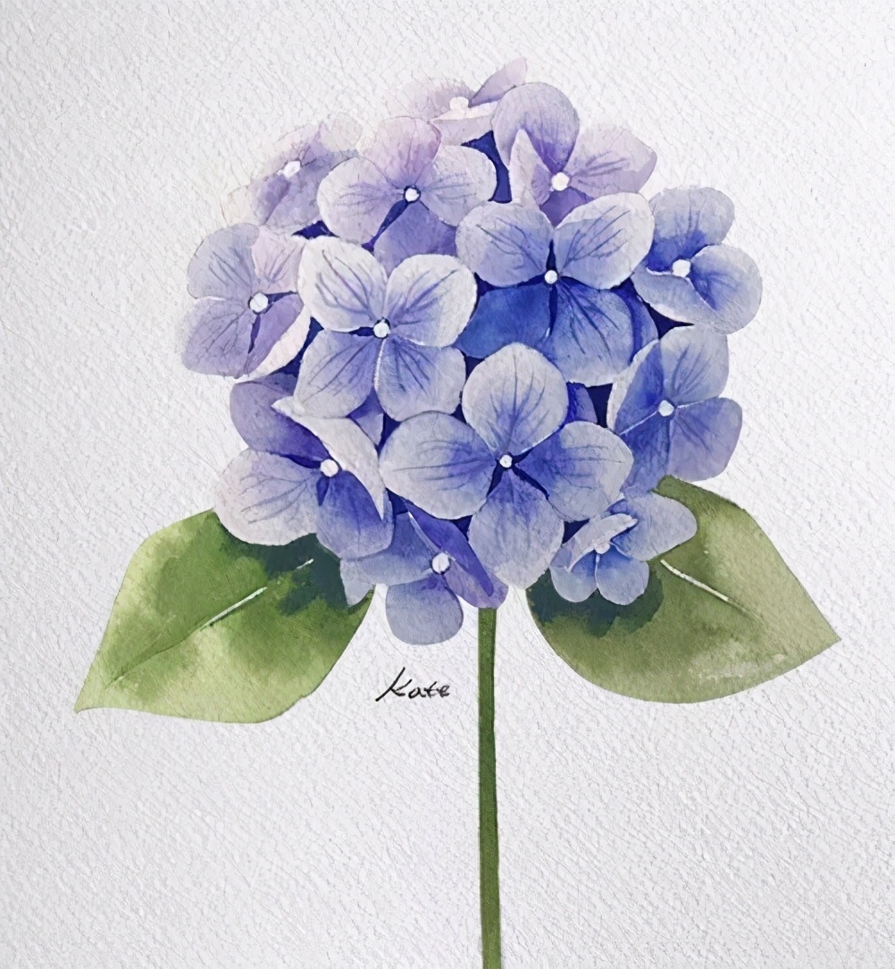 一分钟教你简单画花,简单的花卉图教程