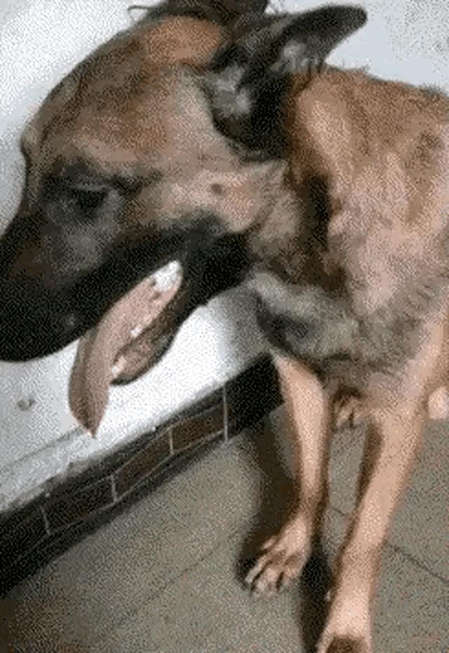 鍝堝搱鍥剧墖鎼炵瑧,鍝堝搱鎼炵瑧鍥剧墖