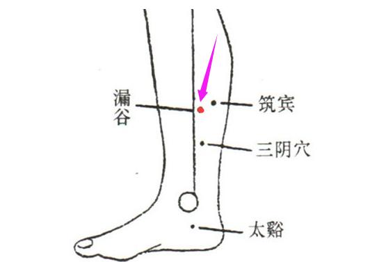 脾经不通的经络操,经络不通如何按摩推拿