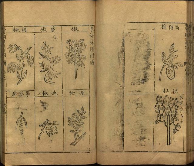李时珍本草纲目书目录,李时珍本草纲目下卷