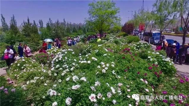 探丝路,探丝路之旅