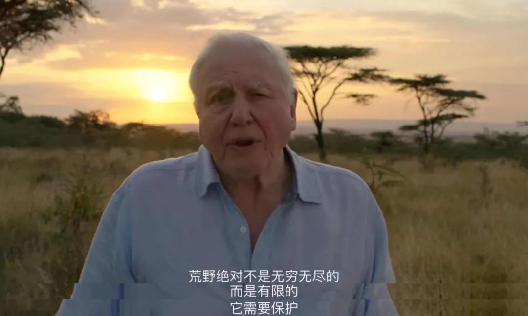 豆瓣2.5分神作,豆瓣9.5分的神作不该如此小众