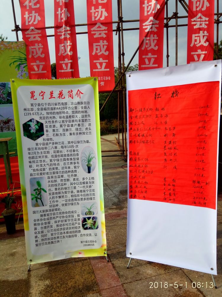 兰花珍品100种,名贵兰花100品欣赏