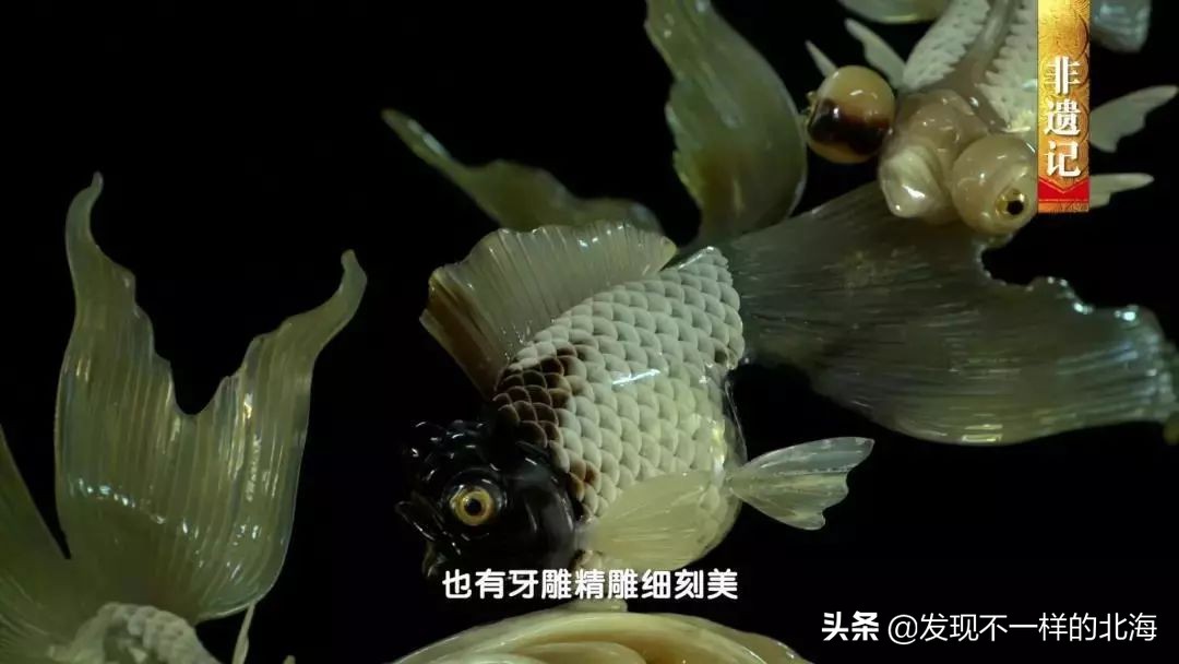 广西合浦是怎么样的？央视是这样全方位介绍这美丽的珠乡的