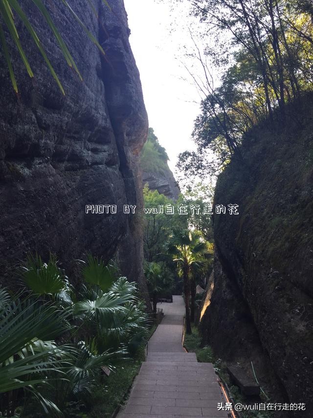 连城冠豸山游玩几小时最佳,连城冠豸山旅游全攻略