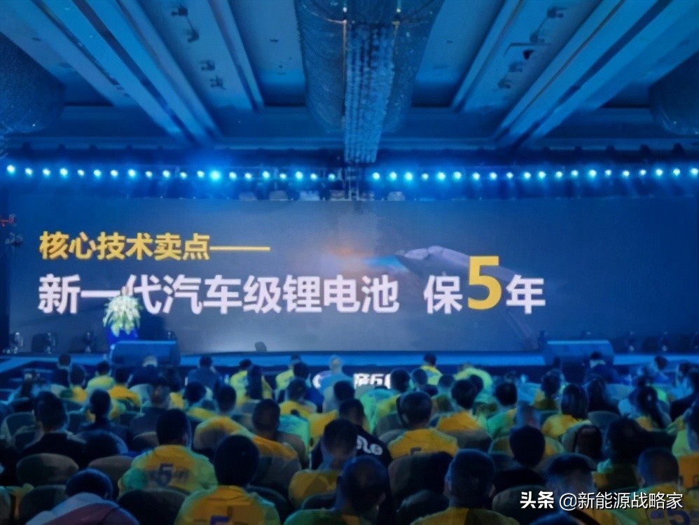 雅迪爱玛电动车排行榜前十名,雅迪与爱玛电动车的销量差距