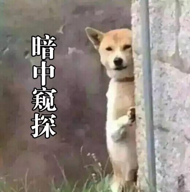 为什么内行人不买一楼带院房子,买楼房买多少层楼都好