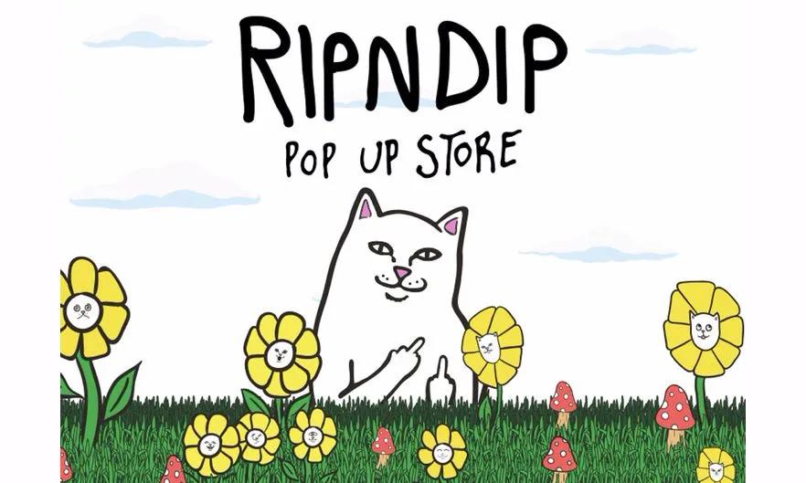 *戏调**Supreme的贱贱白猫RIPNDIP