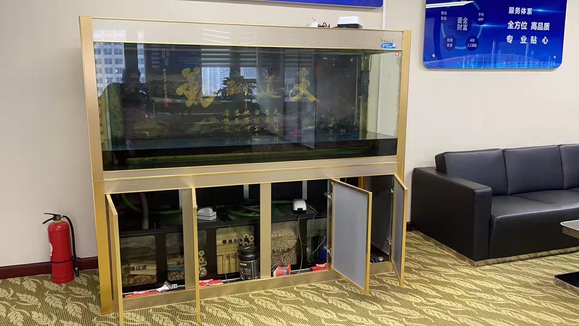 鱼缸搬家攻略视频,鱼缸搬家