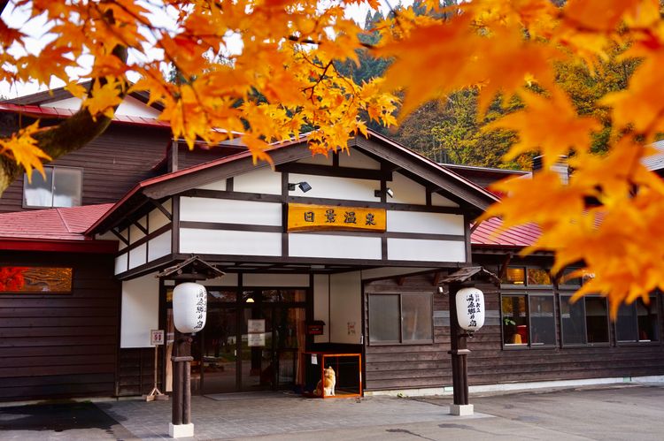 日本自由行奈良,日本秋田大馆旅游