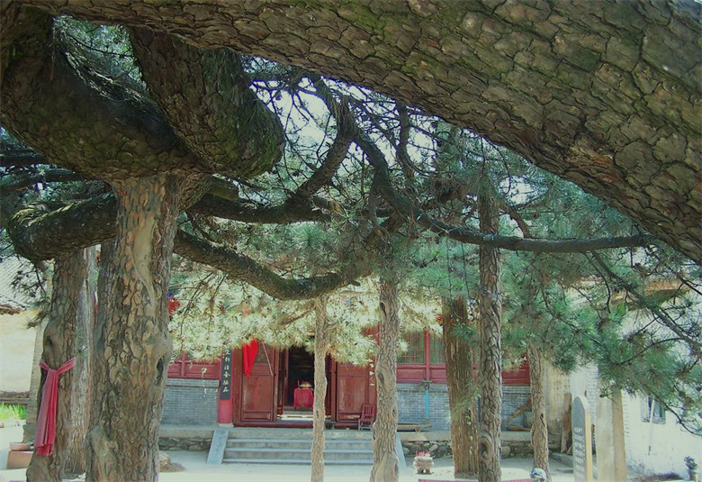 商洛市商州区2023免费游玩景点,商州区旅游景点大全排行榜