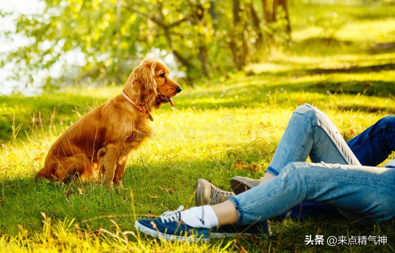 肝虚火旺盛有什么反应,肝虚火导致多梦入睡困难