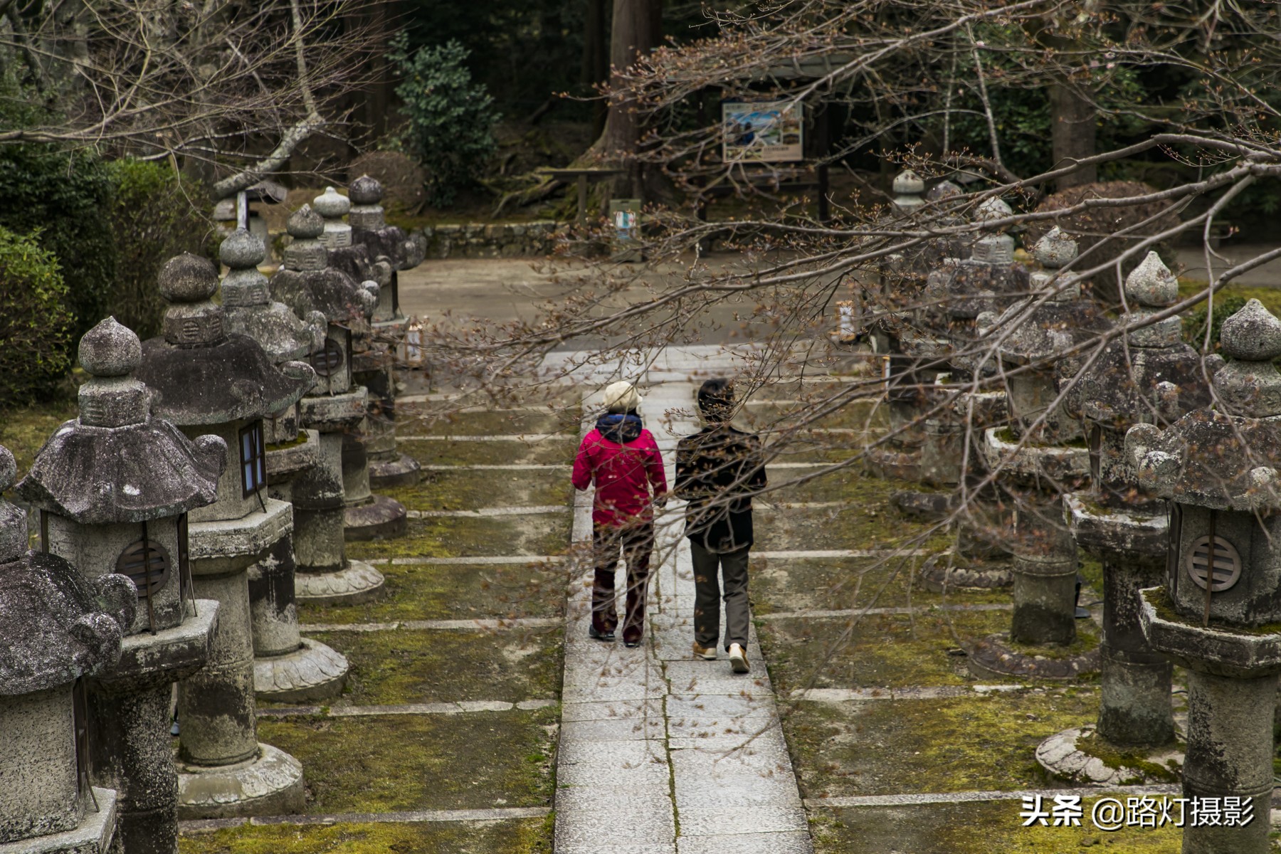 大津，不能错过的日本小众赏樱地，距离京都仅10分钟车程