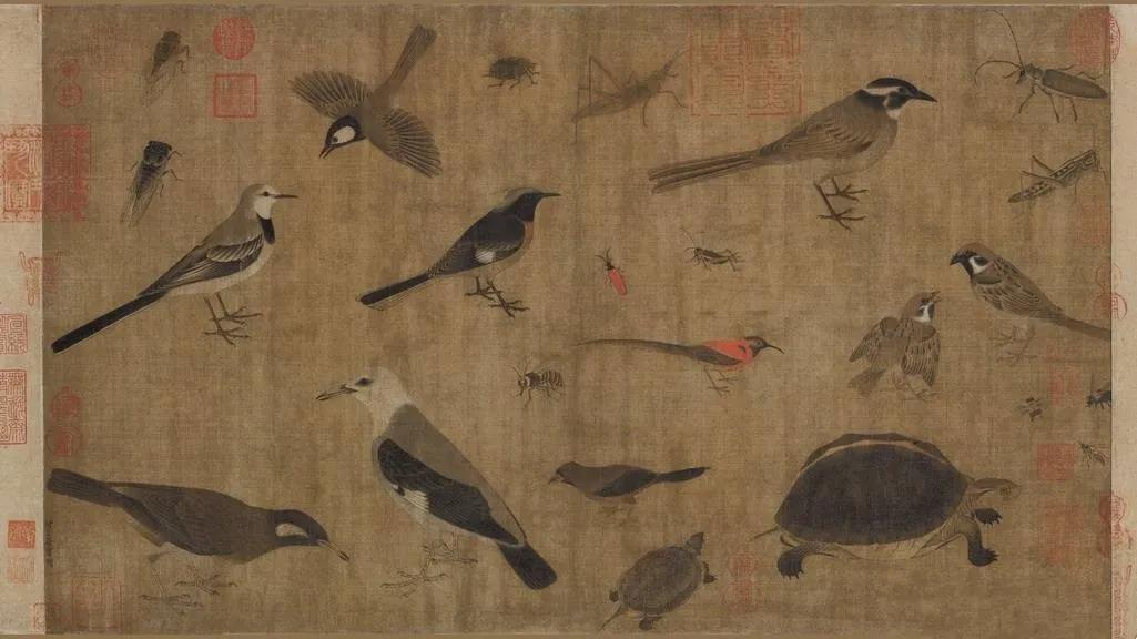 两种国龟的悲歌——古时的山泽常客到现今的附录稀客