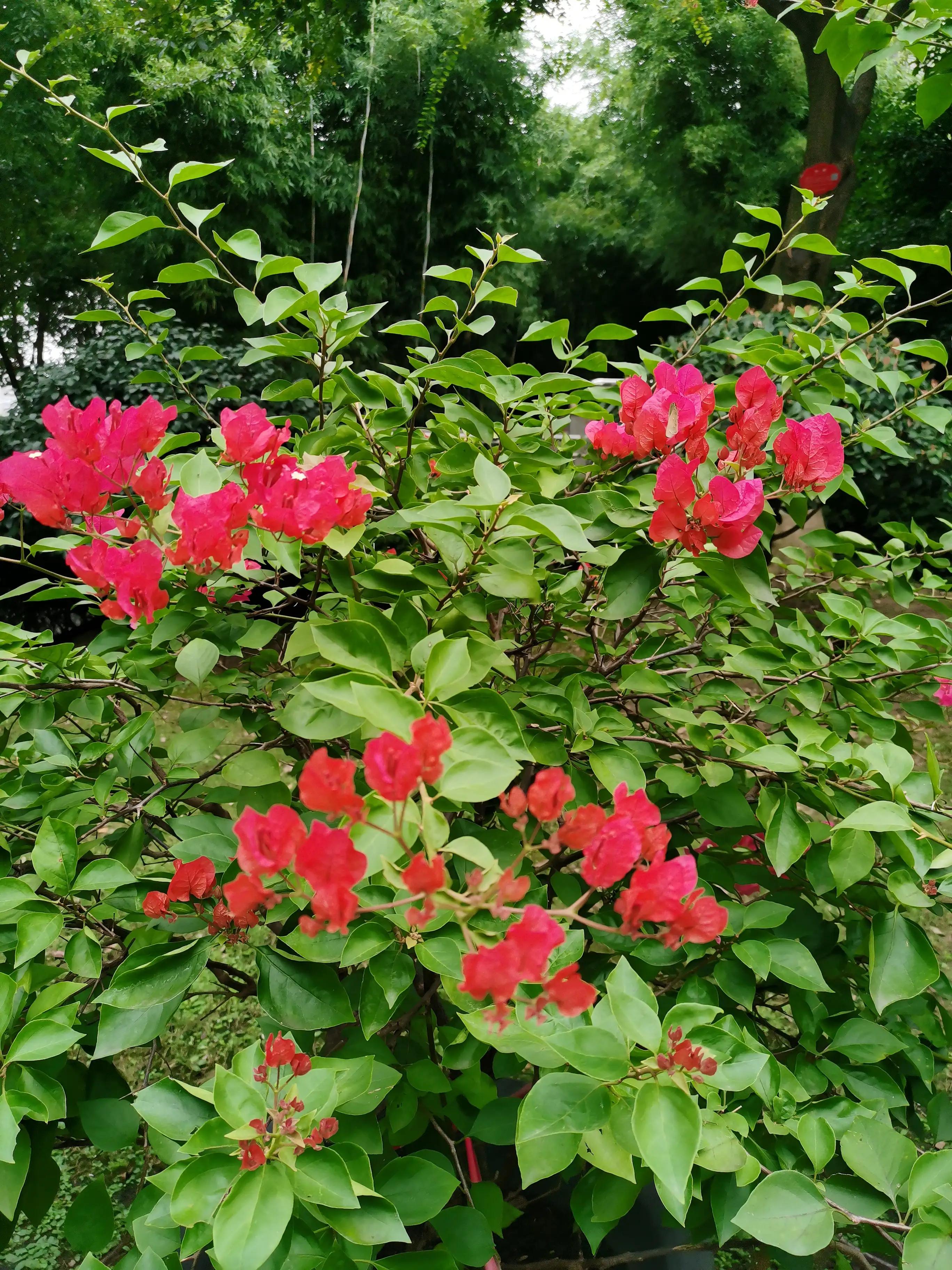 武汉洪山广场相亲角,武汉洪山广场酒店