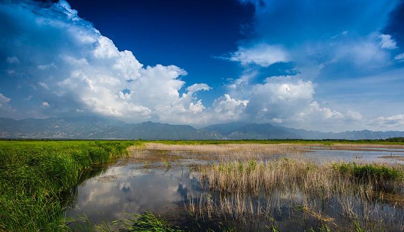 五一能去坝上草原吗,适合旅游的草原哪里离北京近