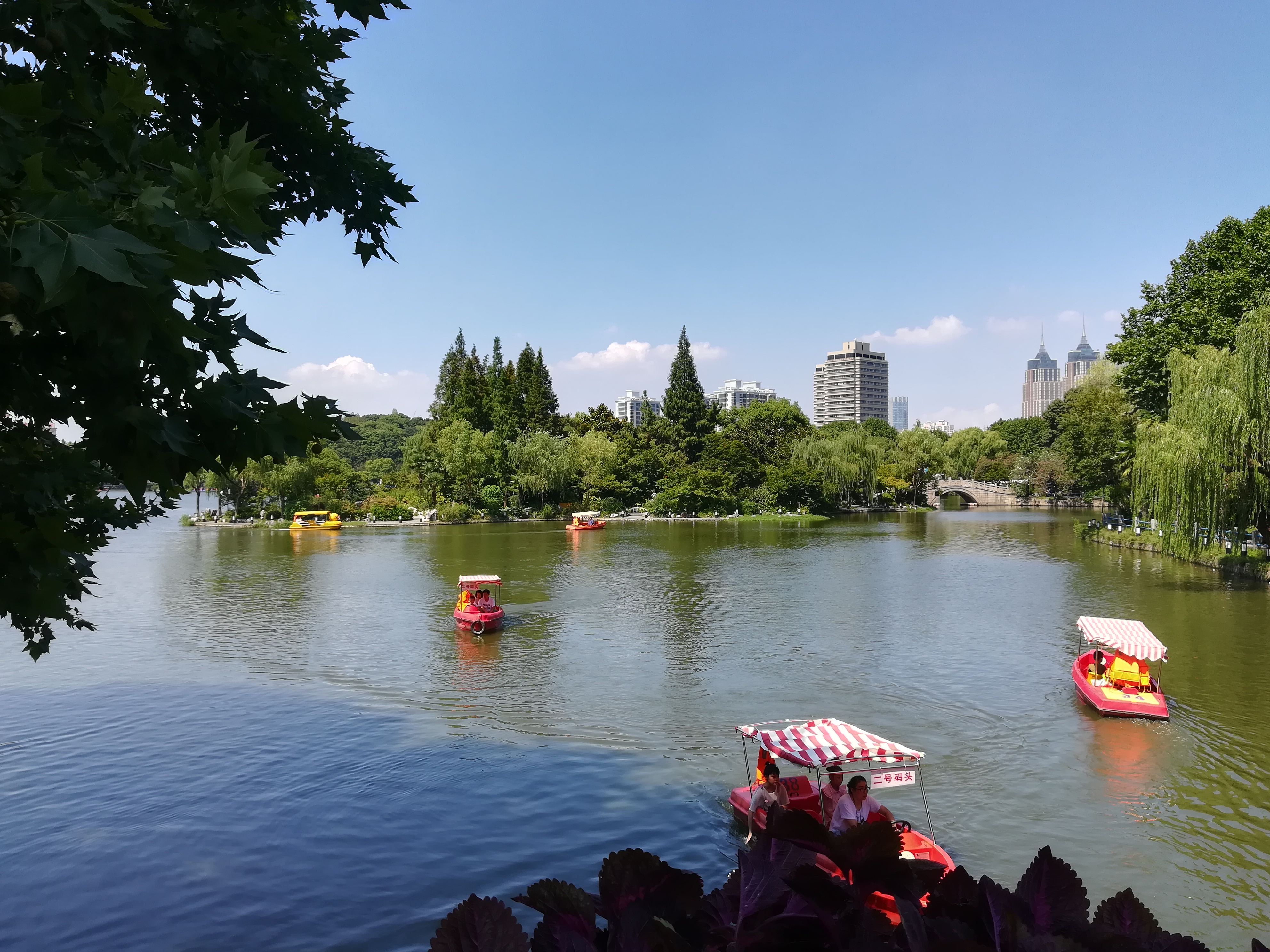 上海长风公园钓鱼,上海长风公园改造计划