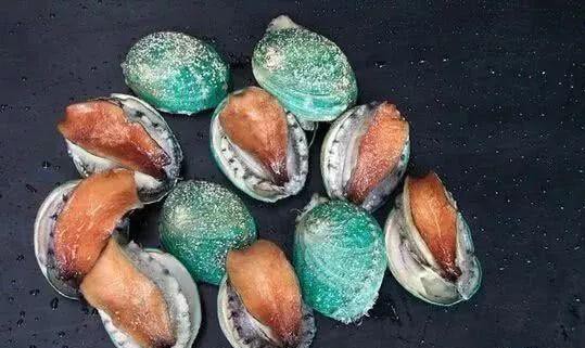 哪种海鲜的味道最鲜美,世界上最鲜美的海鲜