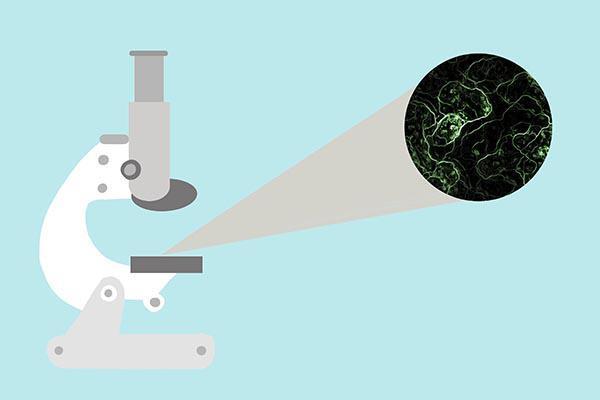 戴护膝对人体有什么好处,跑步佩戴护膝的好处