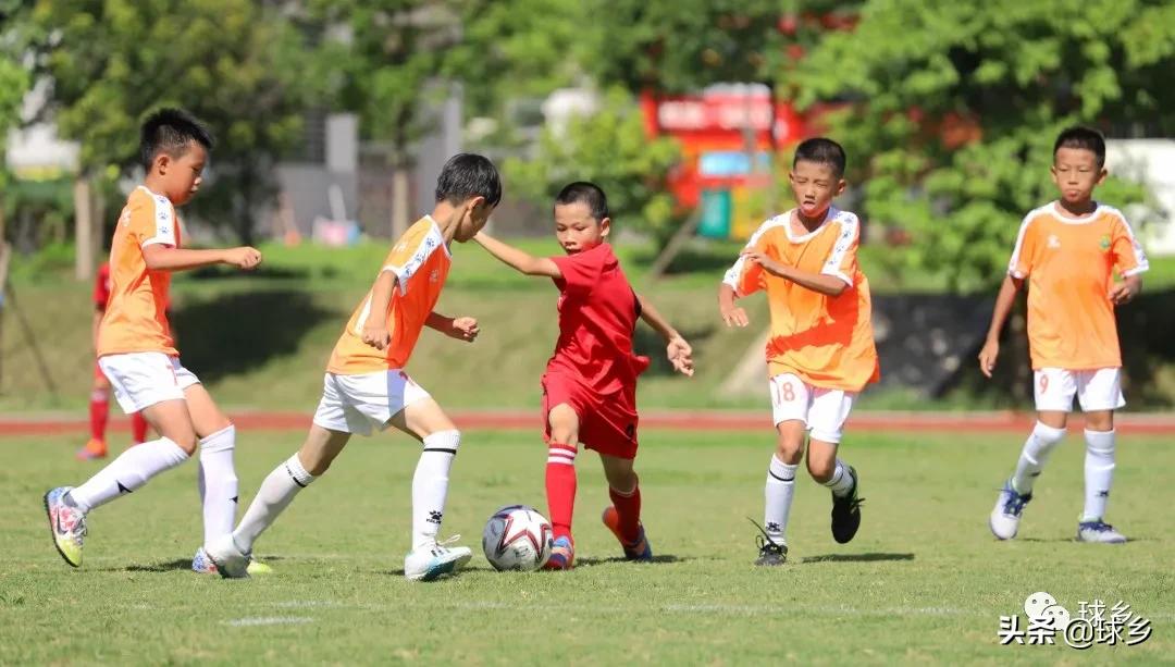 区中小学足球联赛,体教融合杯中学篮球赛