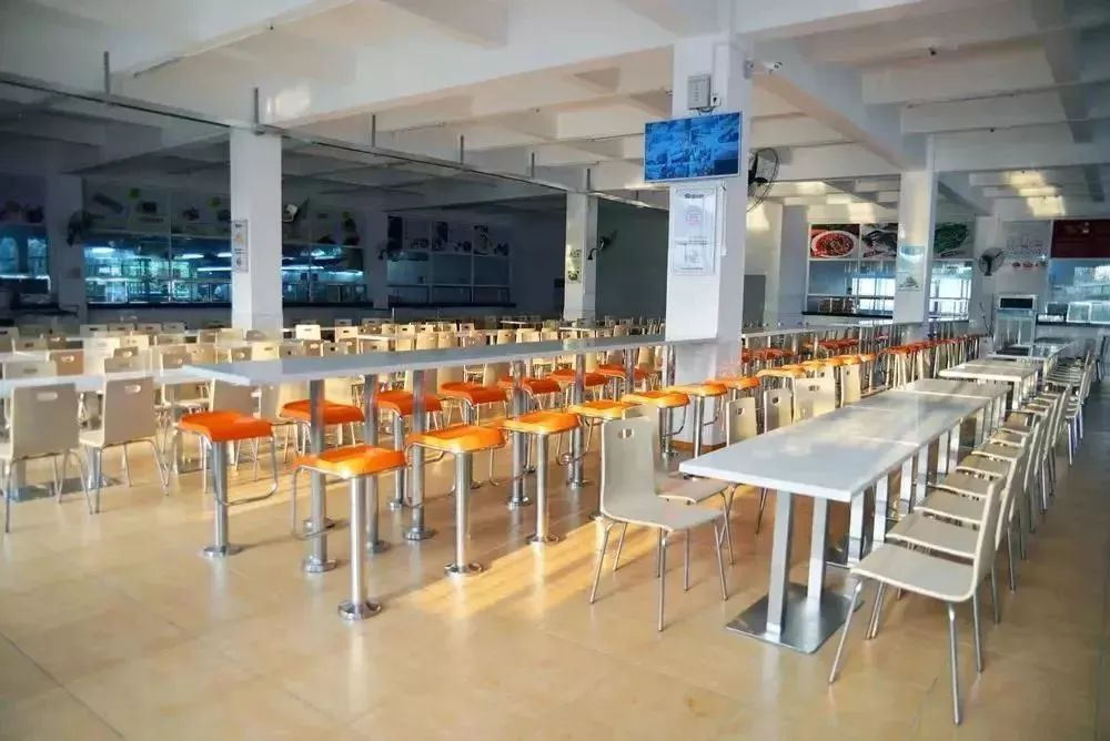 广东高职高考应该看什么,中山职业技术学院2024招生简章