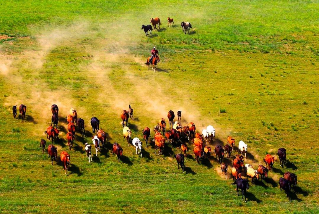 宁夏66号公路自驾路线图,美国66号公路自驾攻略