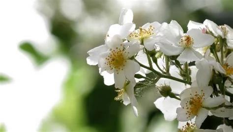 每日一典全文,每日一典