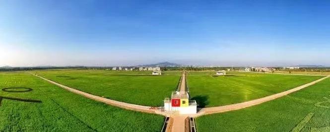 2020美到窒息！珠海的冬天，美炸了