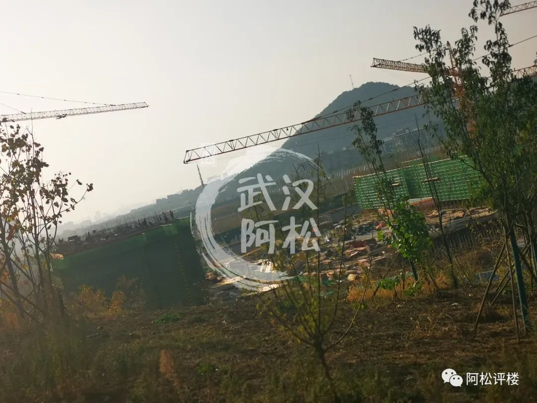 必将开创光谷的先河！极端位置！户型令人惊掉大牙！