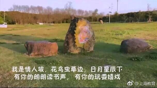 南汇大学城好吗,南汇新城发展较弱的原因