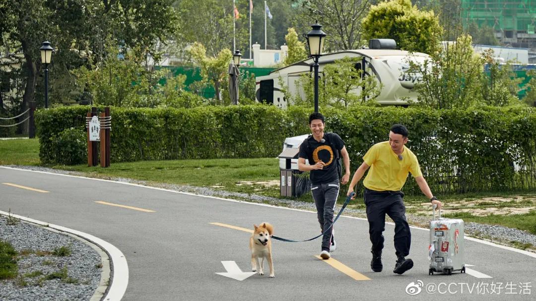 回望2020海坨耕耘路,以待2021山谷新美好