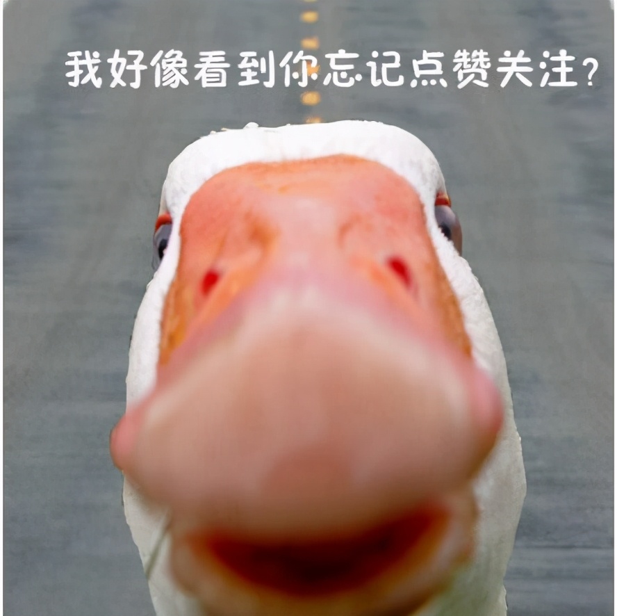 说中文翻译英语的那些搞笑语录,中国式英语翻译百年修得同船渡