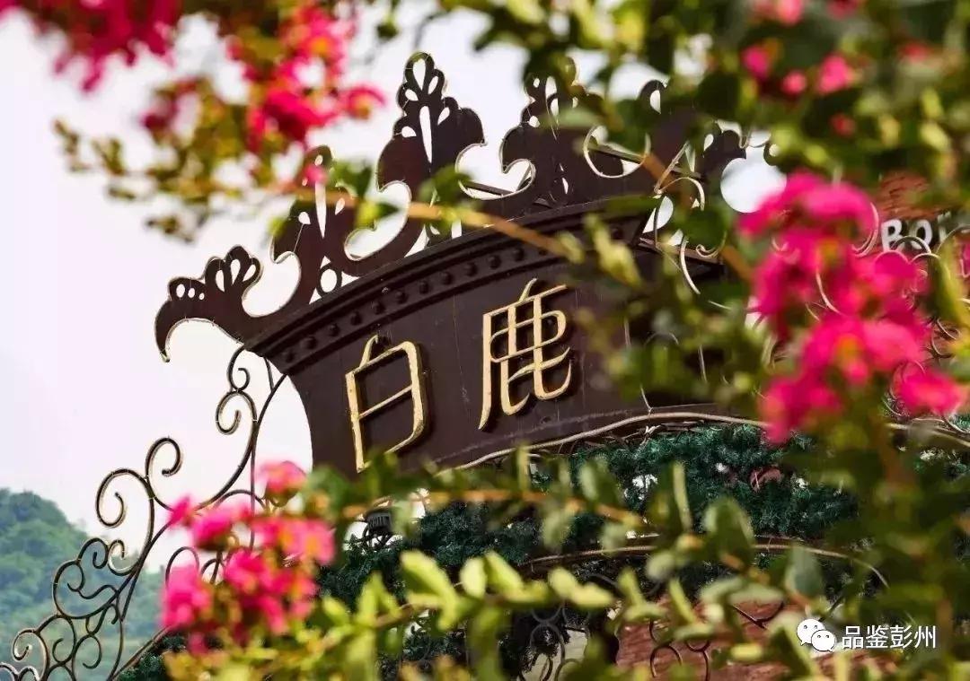 五朵金花抱团,彭州未来的发展