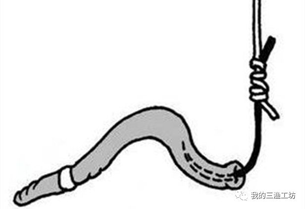 蚯蚓钓鱼挂头还是尾,挂蚯蚓钓鱼绝密配方