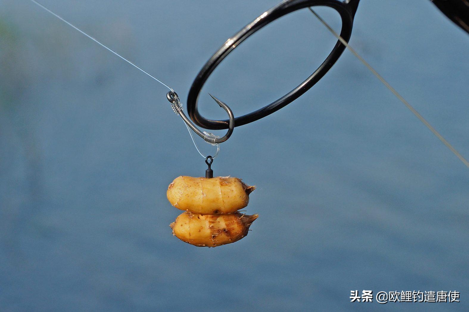 有哪些基础钓法初学者要学会,新手最稳妥的一种钓法