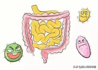 关键时刻能救命的14种方法,关键时刻能救命的急救指南观后感