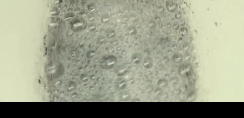 她老爸已经同意给赎金，可我不想放人：图解欧美电影