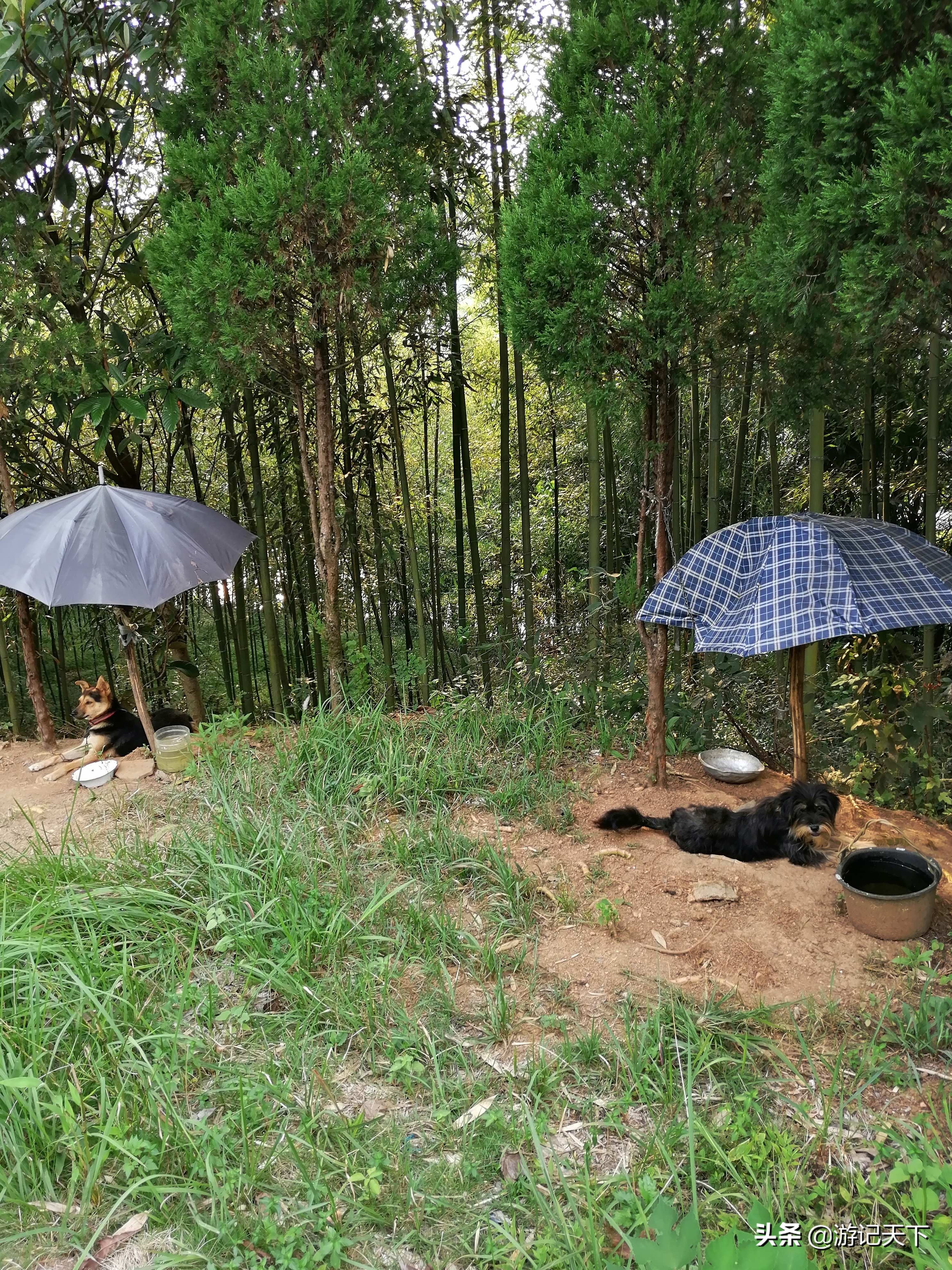 博导带我游龙川——阿尼亚房车伴我走天涯